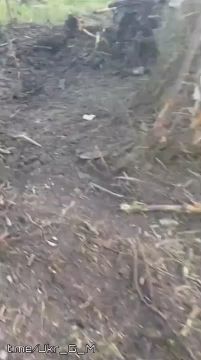 ������������ �������� FPV-������� ������������ ��������������� Humvee ���������� �������� � ���������-������������ �����������