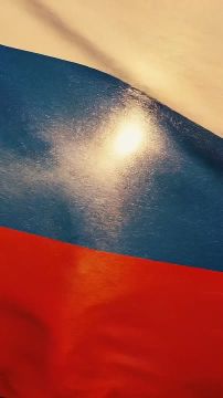 На спортивном пьедестале, горной вершине, передовой — или просто в окне соседнего дома