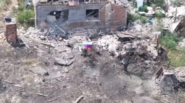 Владислав Шурыгин: Поздравляем всех с Днем флага Российской Федерации