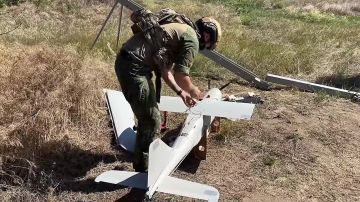 Владимир Сальдо: Связка «Орлана-10» и «Гиацинта-Б» уничтожила очередную группу боевиков ВСУ