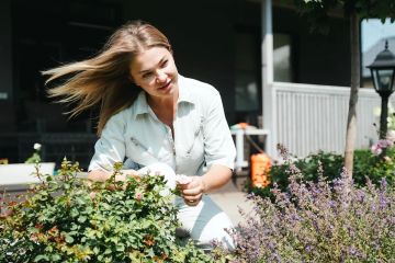 ��������� ������������ � ������ ������� ����� �� ����������