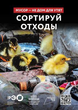 Мусор не дом для утят. Оставленный на природе мусор быстро становится частью среды, в которой вынуждены жить птицы и животные