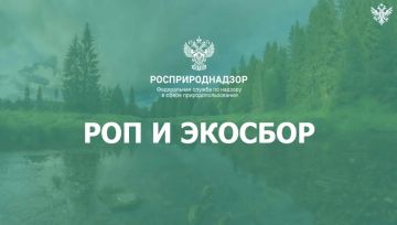 ��������������� ��������� ������� ������ ���������� �� �������������� �����