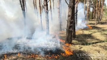 В Херсонской области объявлена чрезвычайная пожароопасность