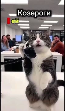 Attention! � ����� ���� ���������� ���������� ������������ ����������
