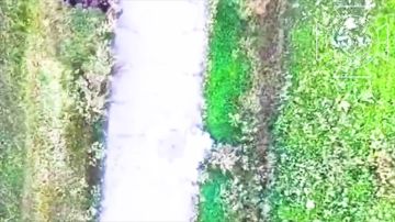 ����� �������������� ��������� ������-������ � ������������ ����