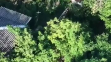 Расчеты «Гиацинт-С» группировки войск «Восток» уничтожили пункты управления БПЛА ВСУ в Запорожской области — Минобороны России