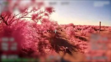 �������� ������: ��������� ����������� ����� ������ ������� ������� � ������ ���������� ���