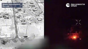 Операторы ударных FPV-дронов уничтожили воздушных и наземных "птичек" врага в Херсонской области
