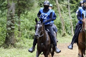 ����������� �� ���������� ������� ��������� �������� ������� ������ �� ������� ������
