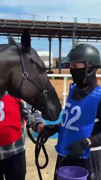 120 километров и норматив мастера спорта: Херсонщина впервые выступила на Первенстве России по конным пробегам