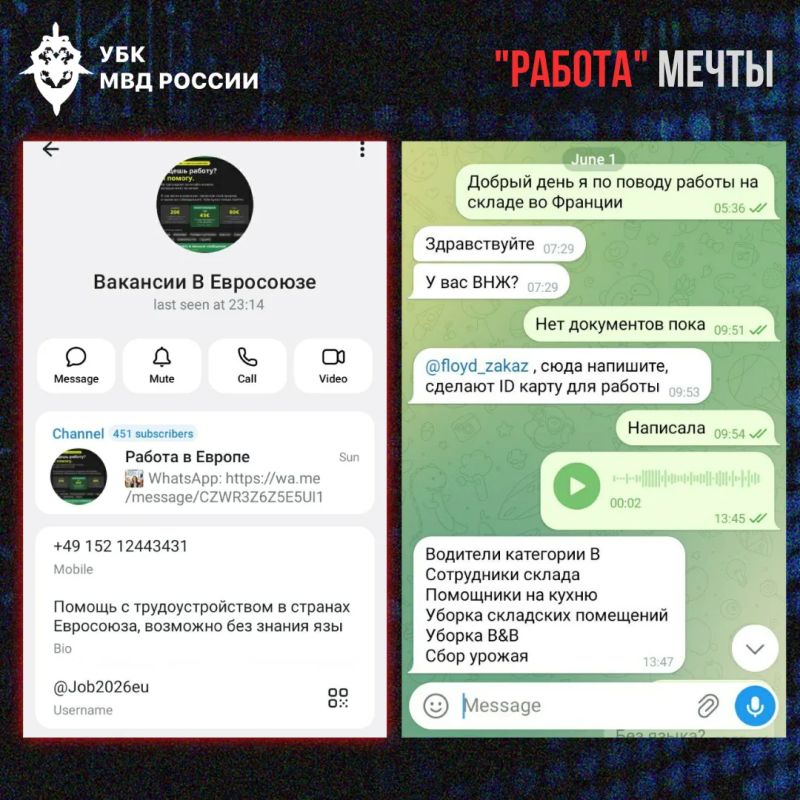 Работа мечты за границей: как мошенники используют тему трудоустройства