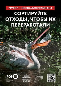 Мусор не еда для пеликана. Пластиковая бутылка, оставленная на берегу или возле водоёма, легко попадает в воду под действием ветра и дождя
