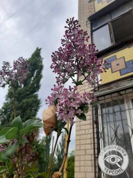 � ������� � ����� ������� ����� ������� ������