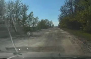 26 миллионов на дорогу, которой нет