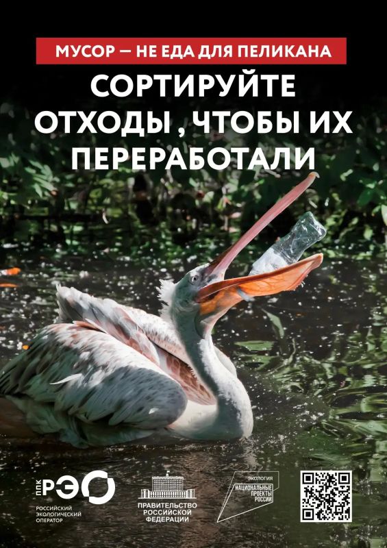 Мусор не еда для пеликана. Пластиковая бутылка, оставленная на берегу или возле водоёма, легко попадает в воду под действием ветра и дождя