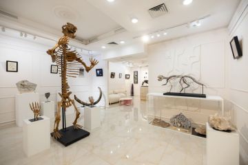 В Москве открыли первую выставку скелетов динозавров и доисторических животных, на которой их можно купить