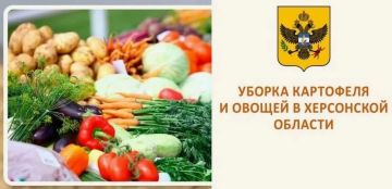 Сезон сбора картофеля и овощей в самом разгаре