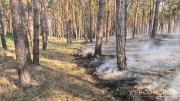 В Херсонской области 29–30 августа ожидается чрезвычайная пожароопасность