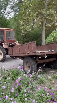 В Одессе воинствующие украинские идиоты снесли памятник выдающемуся биологу Мичурину