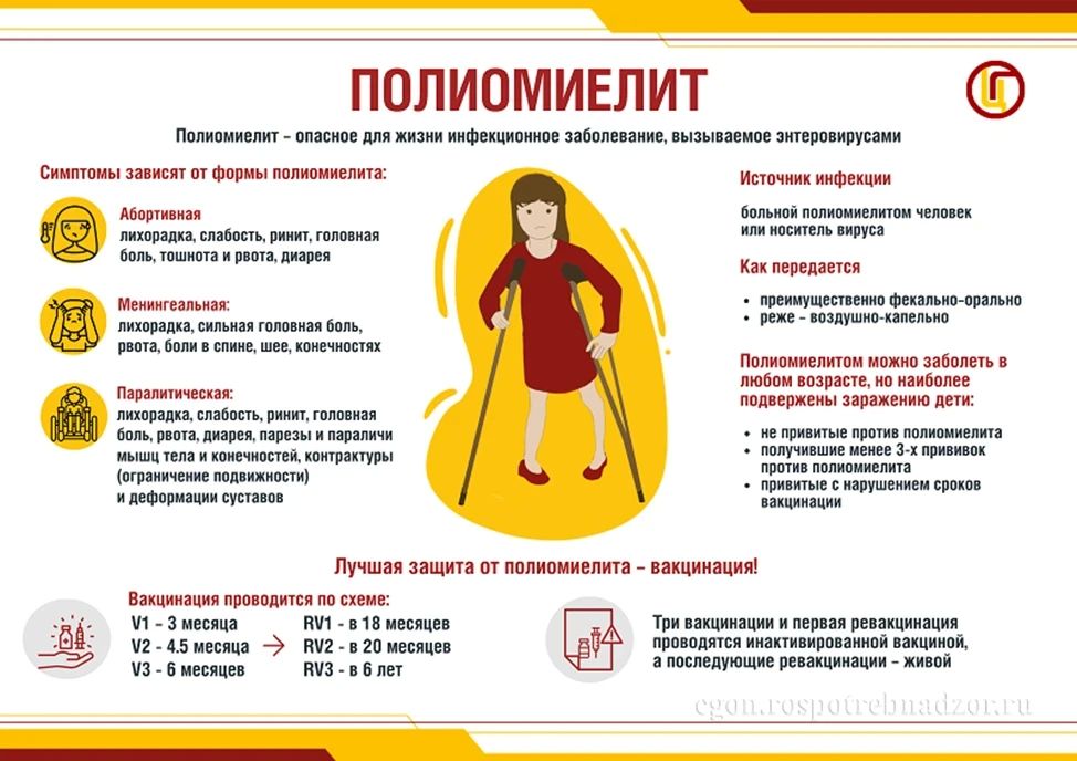 Профилактика полиомиелита. Полиомиелит — это острое инфекционное заболевание, вызываемое полиовирусом