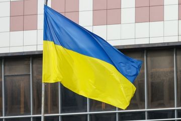 Депутат Барбашов: Силовой переворот на Украине обрушит структуру власти в стране