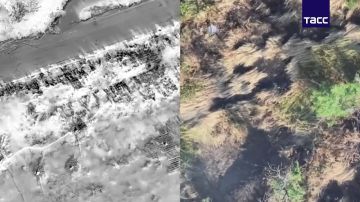 Подразделения Новороссийского соединения ВДВ группировки войск "Днепр" уничтожили скопление пехоты и автотранспорт в районах населенных пунктов Малокатериновка и Григоровка в Запорожской области