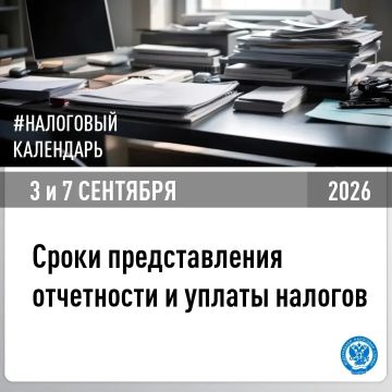 В УФНС России по Херсонской области напомнили, о представлении отчетности и уплате налогов в срок не позднее 3 и 7 сентября