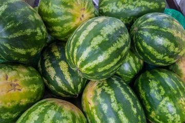 ��������� ��� ��������� ������� ������� �������� ������ ���������� �������