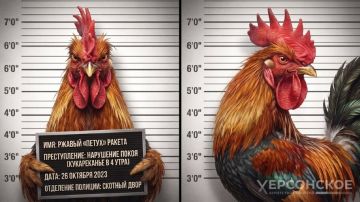 ЭКСКЛЮЗИВ Кур отвели по адресу