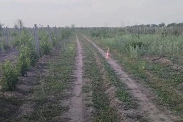 � ������������� ������ � ���������� ������������� ������� ��������� �������