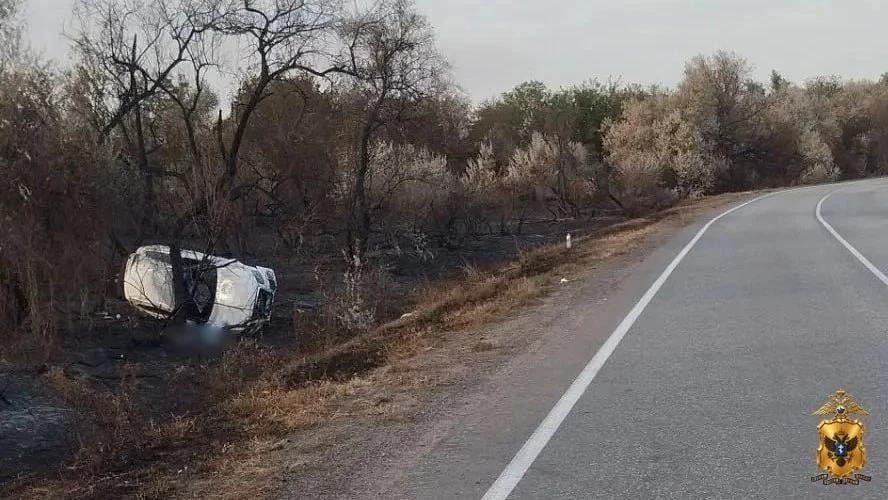 В Скадовском округе произошло дорожно-транспортное происшествие со смертельным исходом