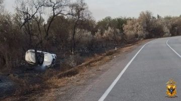 В Скадовском округе произошло смертельное ДТП
