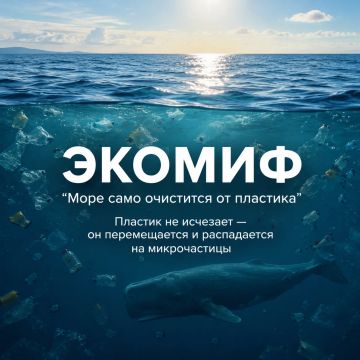 ЭКОМИФ: море само очистится от пластика