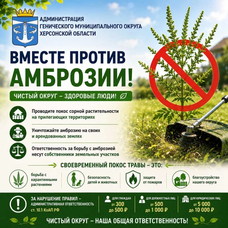 Внимание! Борьба с амброзией — общая задача!