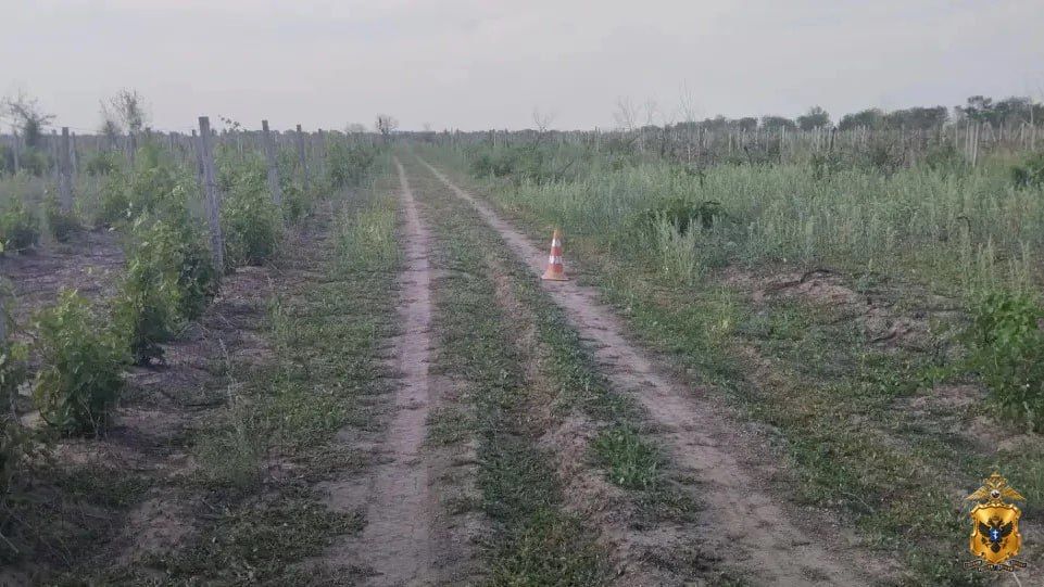 В Новокаховском округе полицейские устанавливают обстоятельства ДТП с пострадавшим