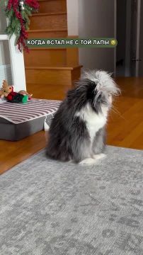 � ����� ���� ��� ����� � ����, � ����� ���� ������ ��������?