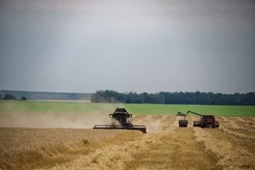 ���������� ������: ������� ���������� ������� ���������� 1,6 ��� ���� �����