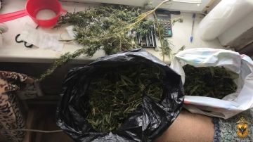 � ������������� ������ ����������� ������ ������������ �������� � �������� ������