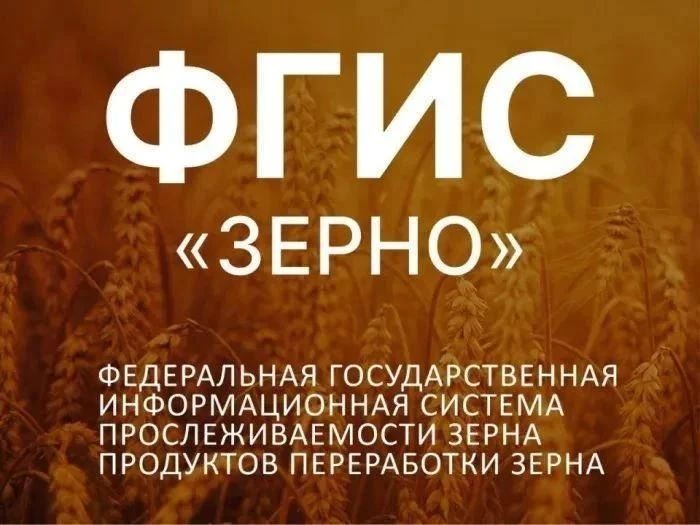 Вниманию сельхозтоваропроизводителей и участников зернового рынка!