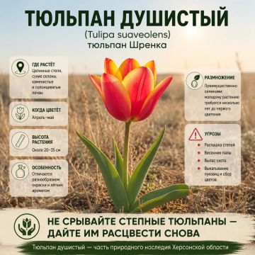 ������� ��������: ��������� ������ �������� �����