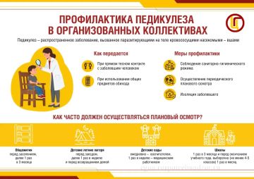 Профилактика педикулеза и чесотки