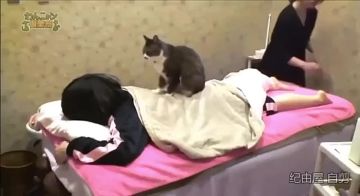 Мои услуги стоят дорого, и вот почему