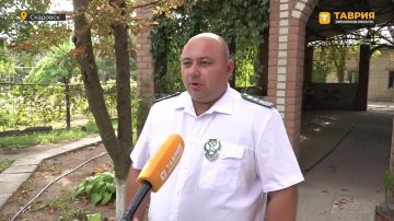 С 1 сентября 2026 года вступили в силу новые требования к учету сельхозптиц, которые содержатся в личных подсобных хозяйствах — Россельхознадзор