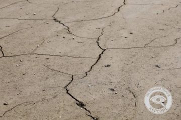 Херсонщина страдает от засухи: в августе выпало всего 18% нормы осадков