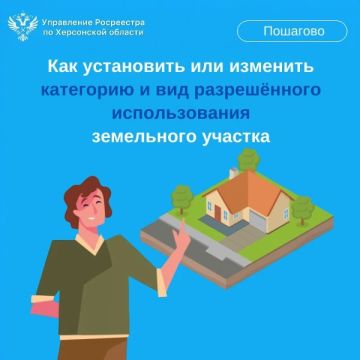 Как установить или изменить категорию и вид разрешённого использования земельного участка