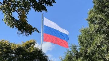 Гаагский суд отказал России в иммунитете в спорах Киева с "Газпромом"