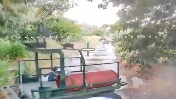 �������� ������: ����� ����������� ����� ������ �������� ������� ��� �� ������������