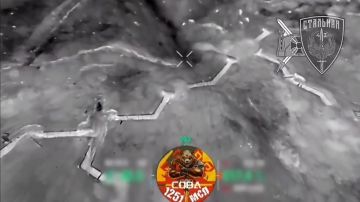 «Баба-Яга» сдала своих хозяев ещё до вылета