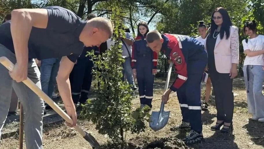 В ХГПУ появилось «Дерево знаний»